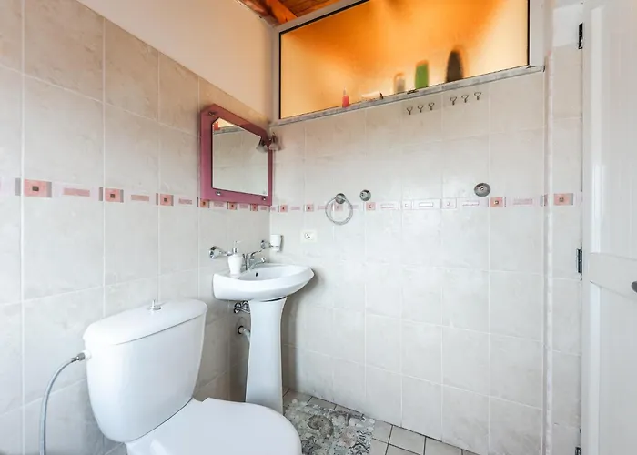 'easy Steps' - 3 - Pro Bono By Pikhost